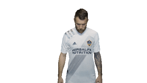 Los Angeles Football Sticker by LA Galaxy