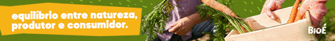 viniciusduartebazan giphyupload GIF