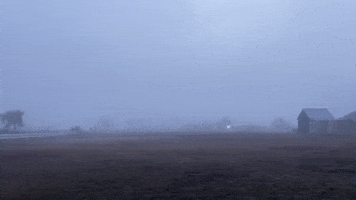 Dense Fog Descends on North Texas