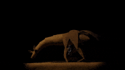 ruifungi tgif stopmotion sit give up GIF