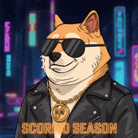 Posing Shiba Inu GIF by Doge Pound