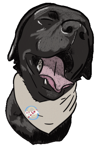 Tr1 Sticker