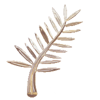 red carpet cannes Sticker by Chopard