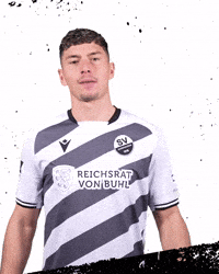3Liga Wirechtanders GIF by SV Sandhausen