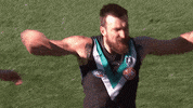 Football Afl GIF by Port Adelaide FC