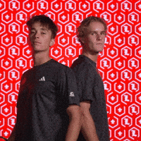 Go Cards GIF by Louisville Cardinals