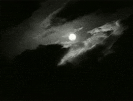 i love the moon GIF by hoppip