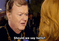 should we say hello lisa kudrow GIF by The Comeback HBO