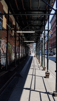 Art Wtf GIF by shanef3d