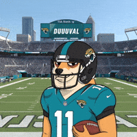 American Football GIF by Doge Pound