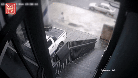 yj_jane giphyupload GIF
