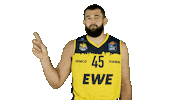 Ewe Baskets Basketball Sticker by EWE Baskets Oldenburg