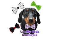 Sausage Dog Doxie Sticker by Pimp Yo Pets