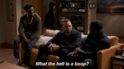 fox entertainment comedy GIF by Fox TV