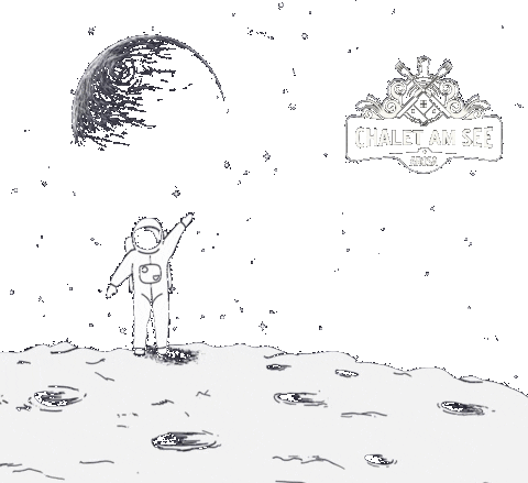 UpHillSwiss giphyupload arosa chaletamsee Sticker