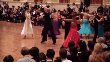 GIF by Demic
