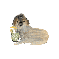 Cheers Abcg Sticker by Andrea Caceres