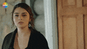Dizi GIF by Show TV