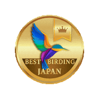 Bbj Sticker by SONIDORI