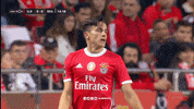 Angry Sl Benfica GIF by Sport Lisboa e Benfica