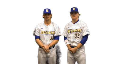 College Sports Fun Sticker by Delaware Blue Hens