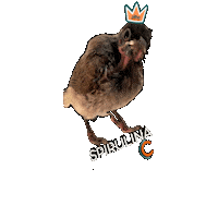 Angry Bird Spirulina Sticker by Pitho