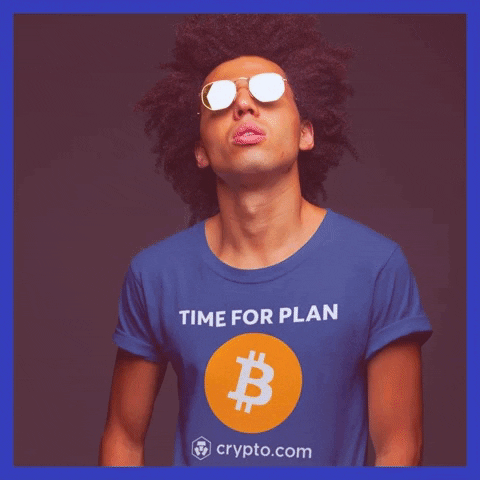 cryptomkg crypto bitcoin btc plan b GIF