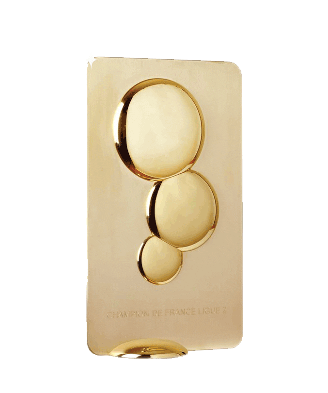 Ligue2BKT giphyupload football trophy l2 Sticker