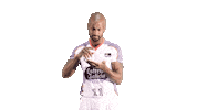 Swipe Up Liga Endesa Sticker by ACB