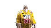 Hockey Ice Sticker by Vienna Capitals