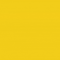 Crypto Blockchain GIF by Raiinmaker