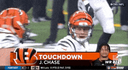 Cincinnati Bengals Football GIF by NFL