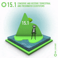 United Nations Art GIF by ELYX