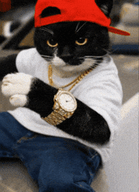 Limp Bizkit GIF