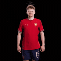 Fifa World Cup Uefa GIF by Respective