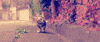 flower GIF