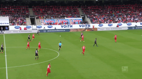 1 fc cologne football GIF by 1. FC Köln