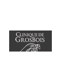 Horses Cheval Sticker by EQUIDEO