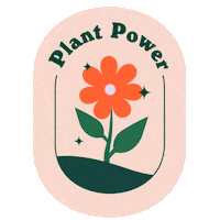 Happy Hour Drinking Sticker by OLIPOP