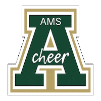 Adairsvilletigers Sticker by AMS Tiger Cheer