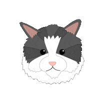 In Love Cat Sticker