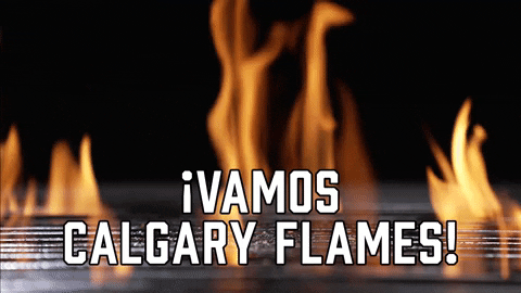 Calgary Flames Sport GIF by Sealed With A GIF
