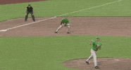 Notre Dame Baseball GIF by NCAA Championships
