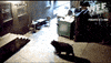 world's fails GIF by World’s Funniest