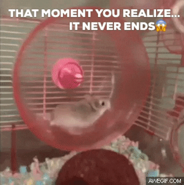 chaddurfee giphygifmaker GIF