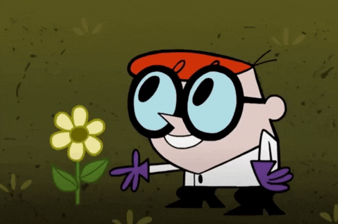 seckela giphygifgrabber flower stupid lab GIF