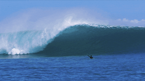 Get Out There Indonesia GIF by FLORENCE