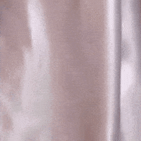 Cat Look GIF