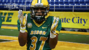 north dakota state football GIF by NDSU Athletics