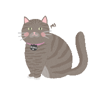 Cat Sticker